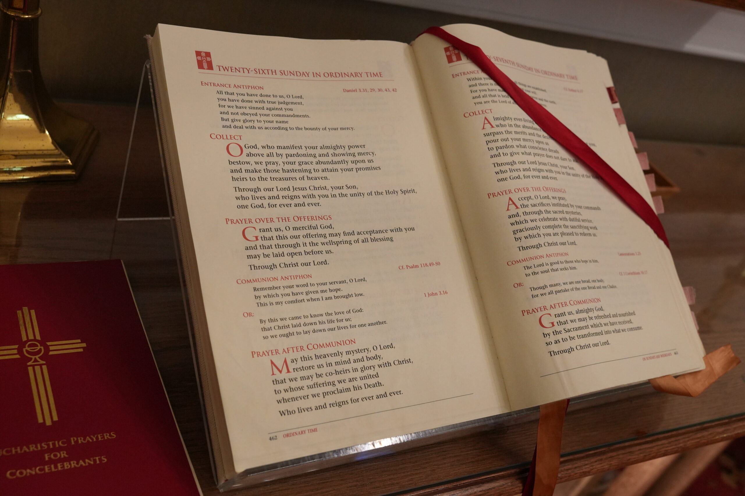 Lectors and Extraordinary Ministers of Holy Communion