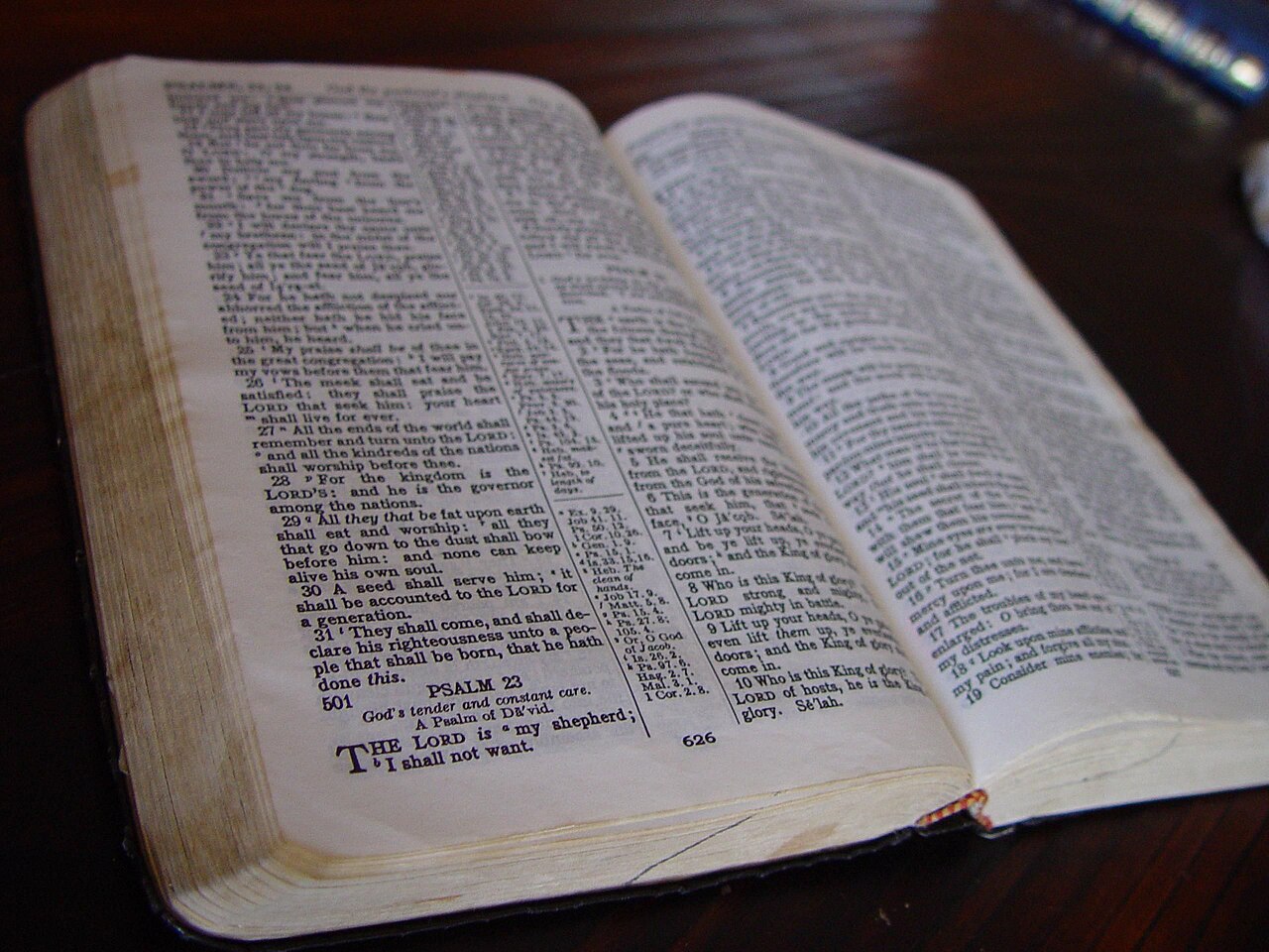 Bible Study